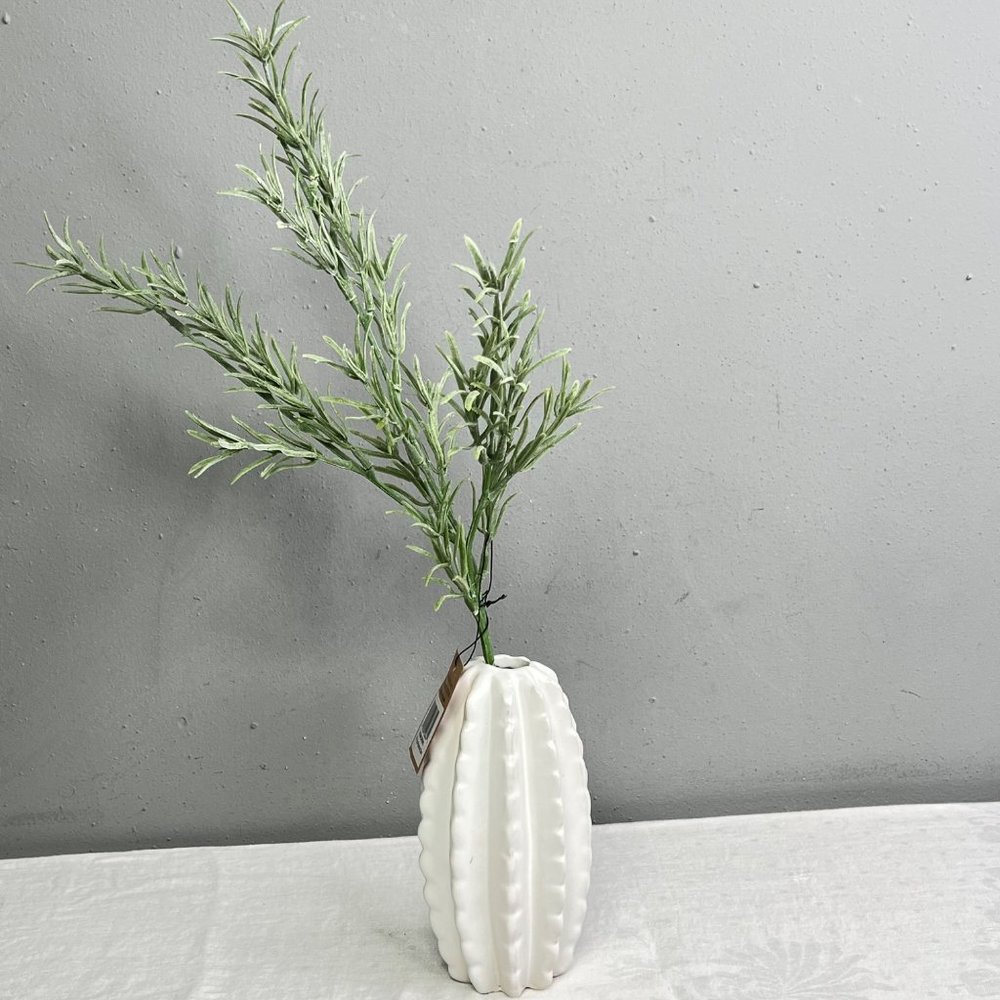 White Cactus Vase Rosemary Stem Creative Co-op Desert Succulent Decoration NWT - Picture 3 of 9